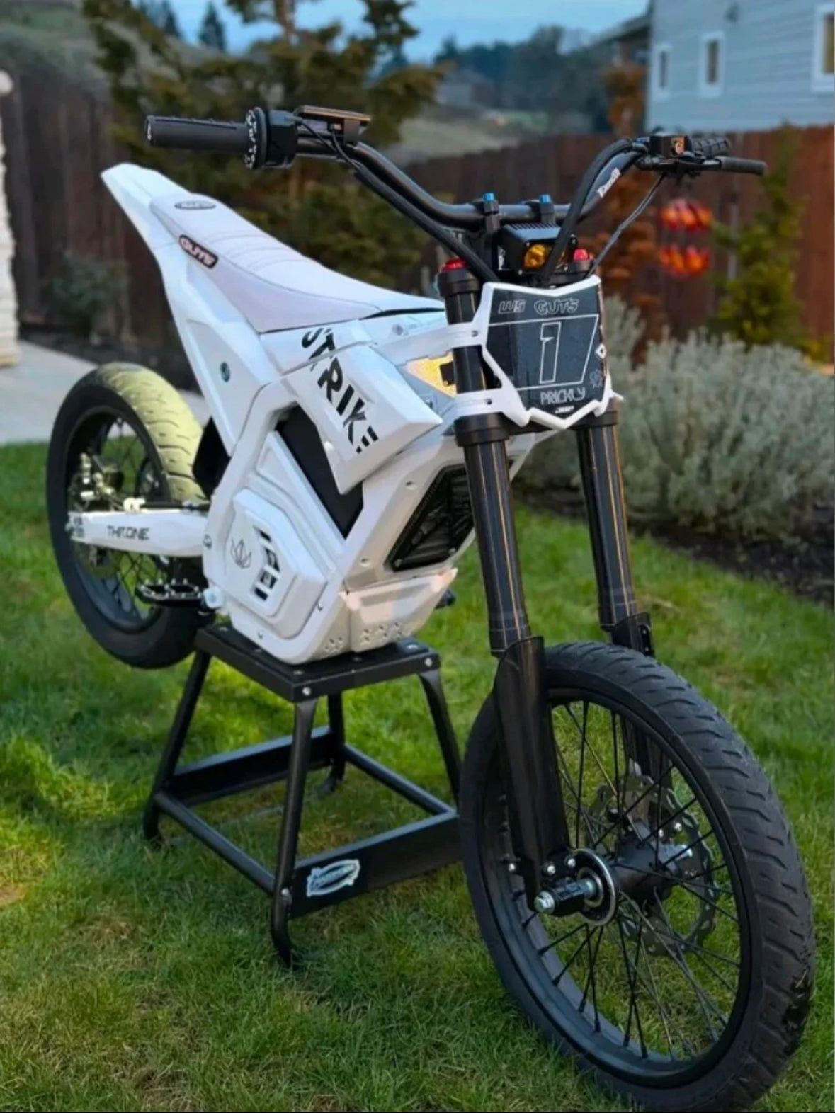 Strike Shadow/Yozma In10 Pro Supermoto Tires
