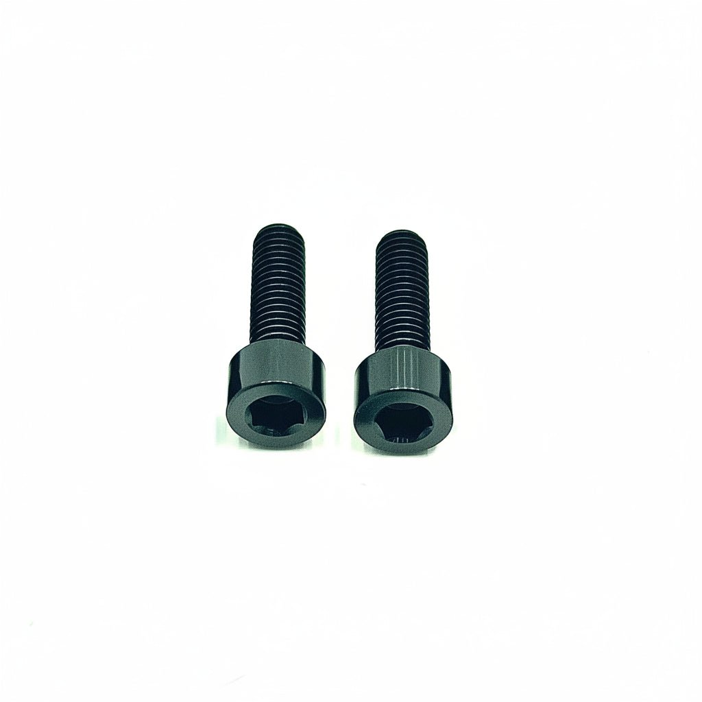 Titanium Motor Cover Bolts (Set of Two) Surron LBX and Light E-moto