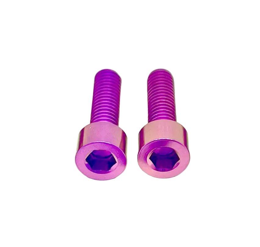 Titanium Motor Cover Bolts (Set of Two) Surron LBX and Light E-moto