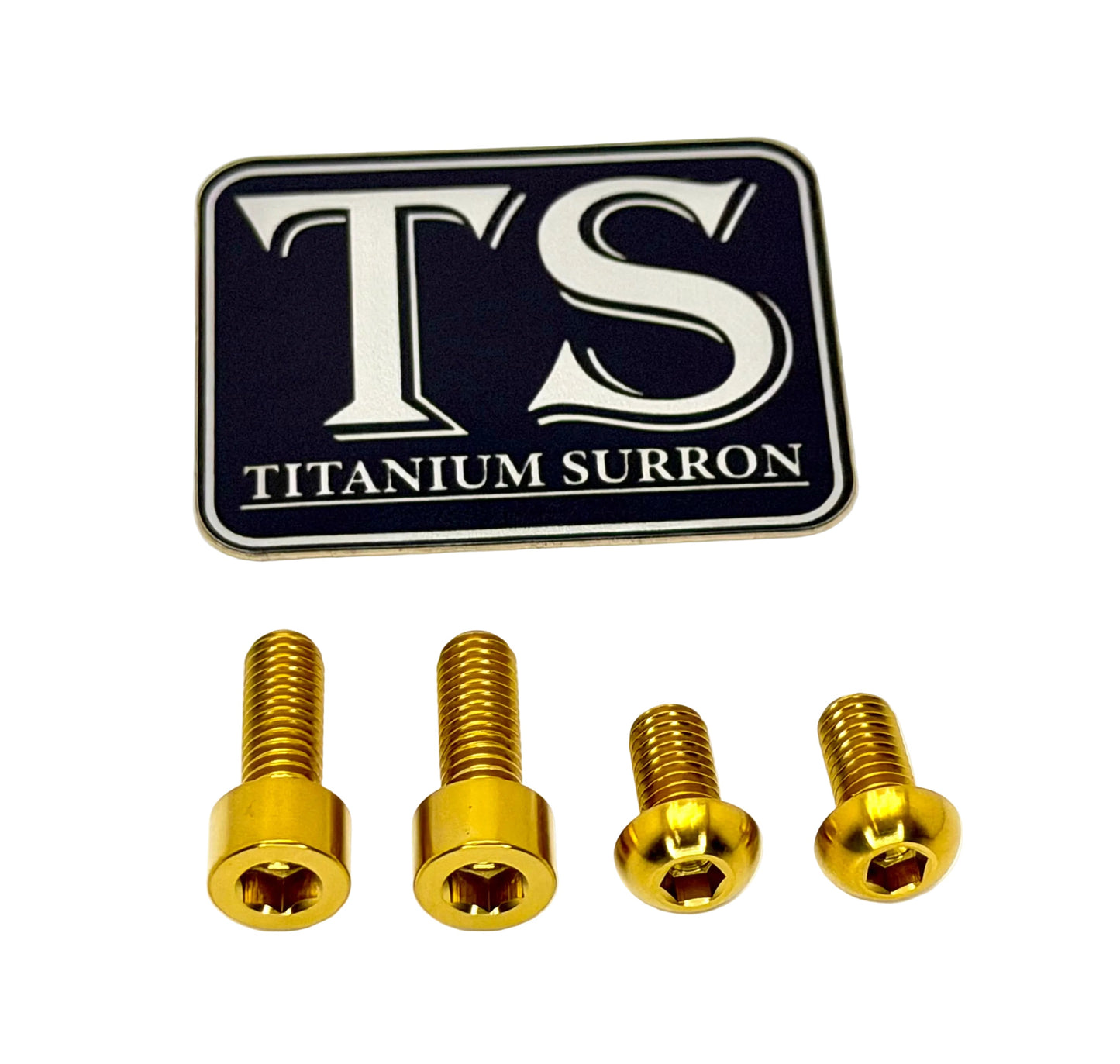 Titanium Controller Mount Bolts for E-moto