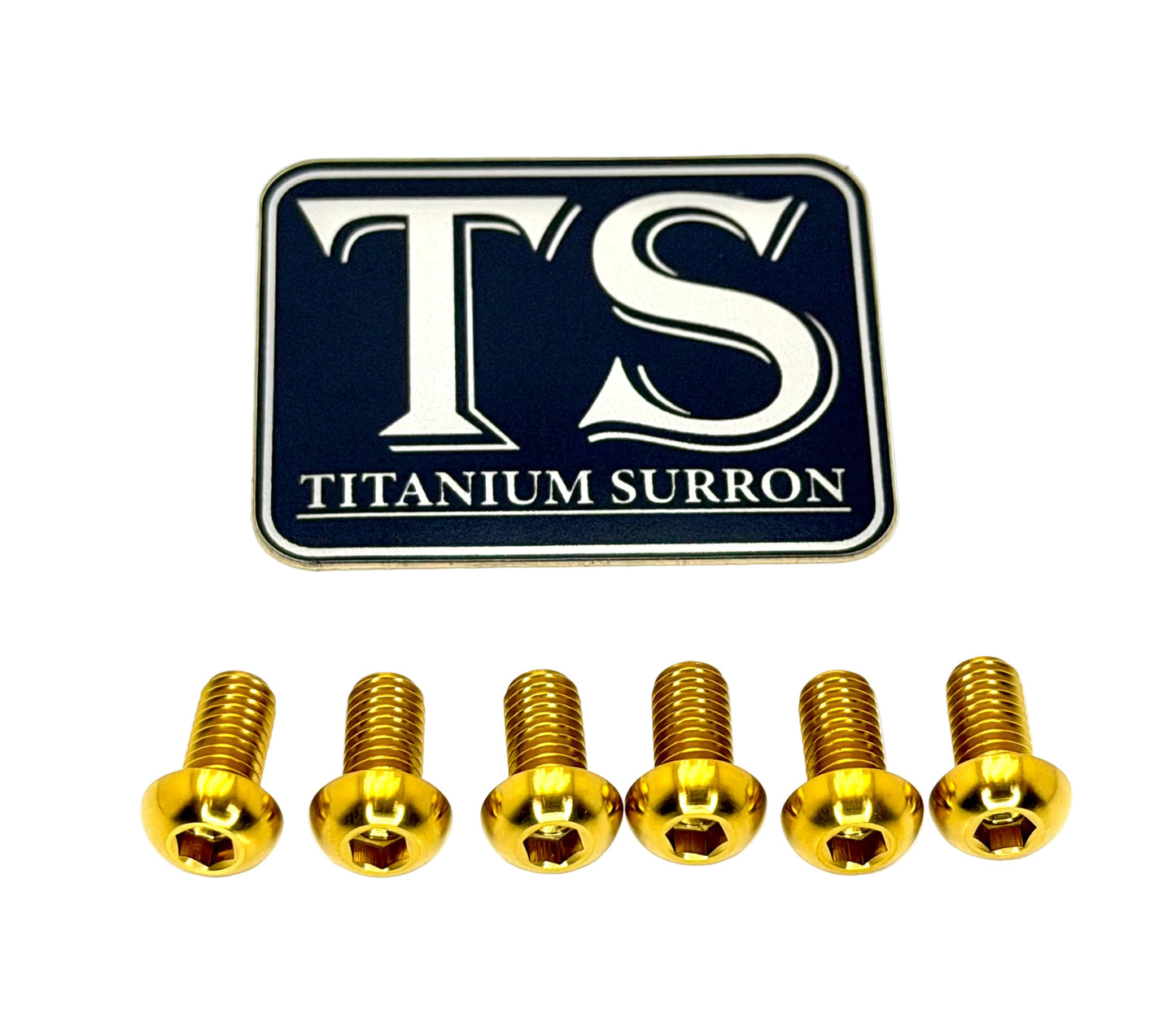 Titanium Controller Mount Bolts for E-moto