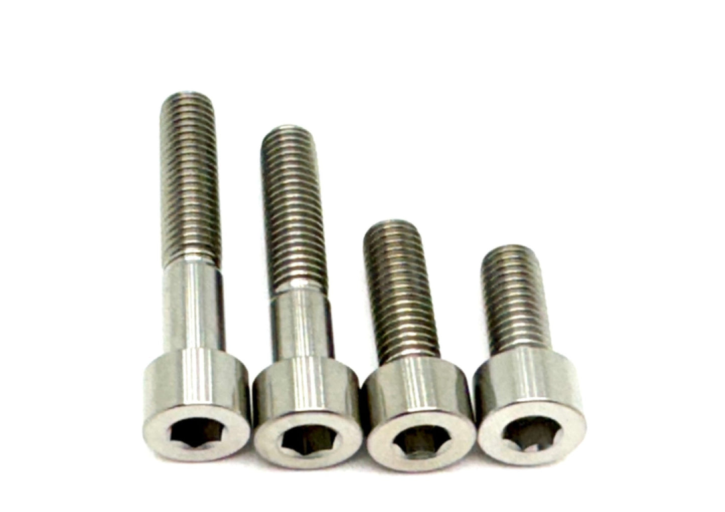 Titanium Motor Bolts - E-Ride Pro (2.0, 3.0, SR)