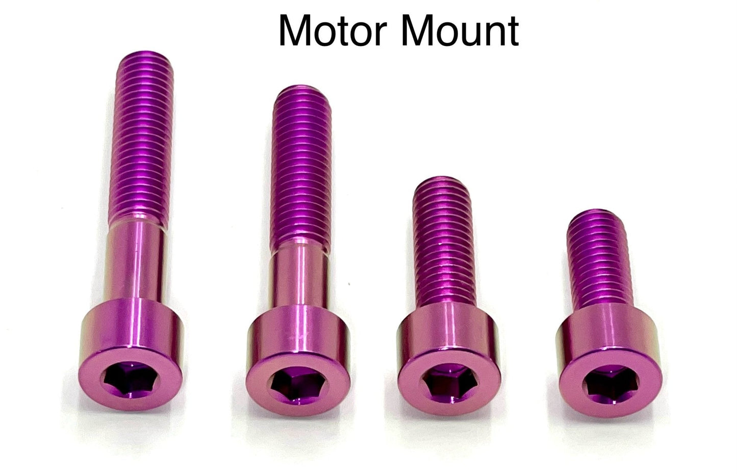 Titanium Motor Bolts - E-Ride Pro (2.0, 3.0, SR)
