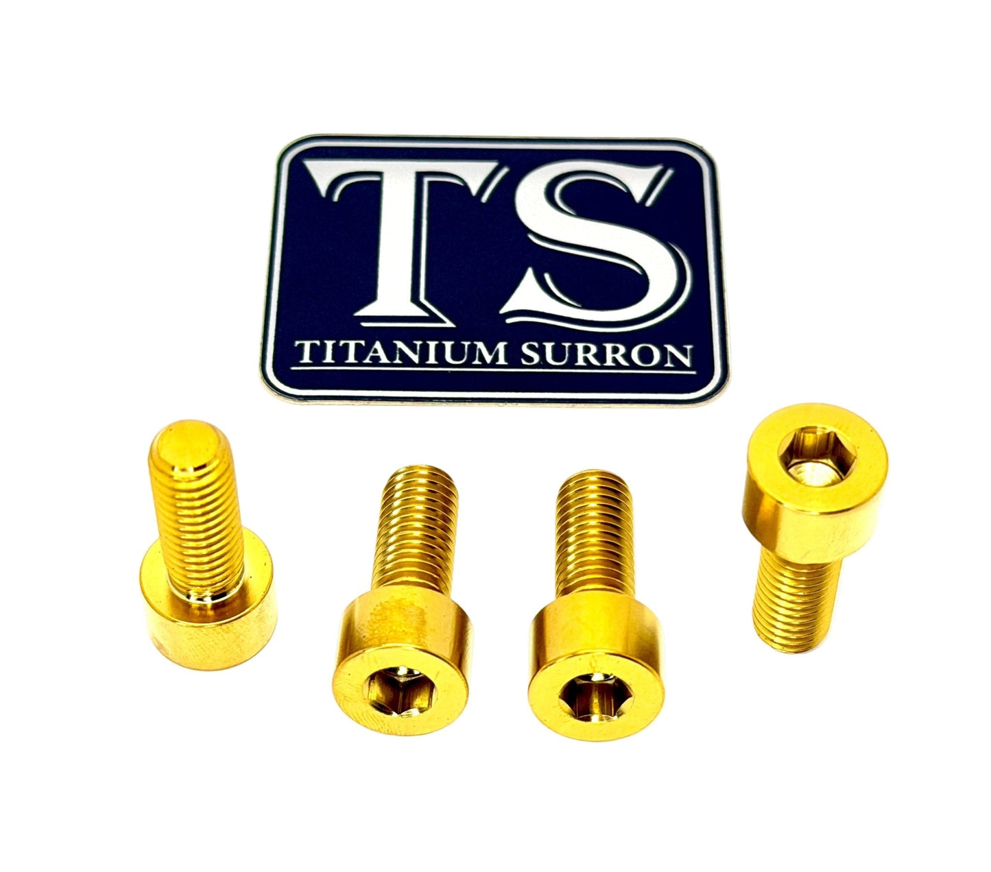 Titanium Peg Bracket Bolts - E-moto